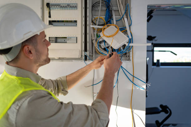 Best Electric Panel Repair  in Rush City, MN